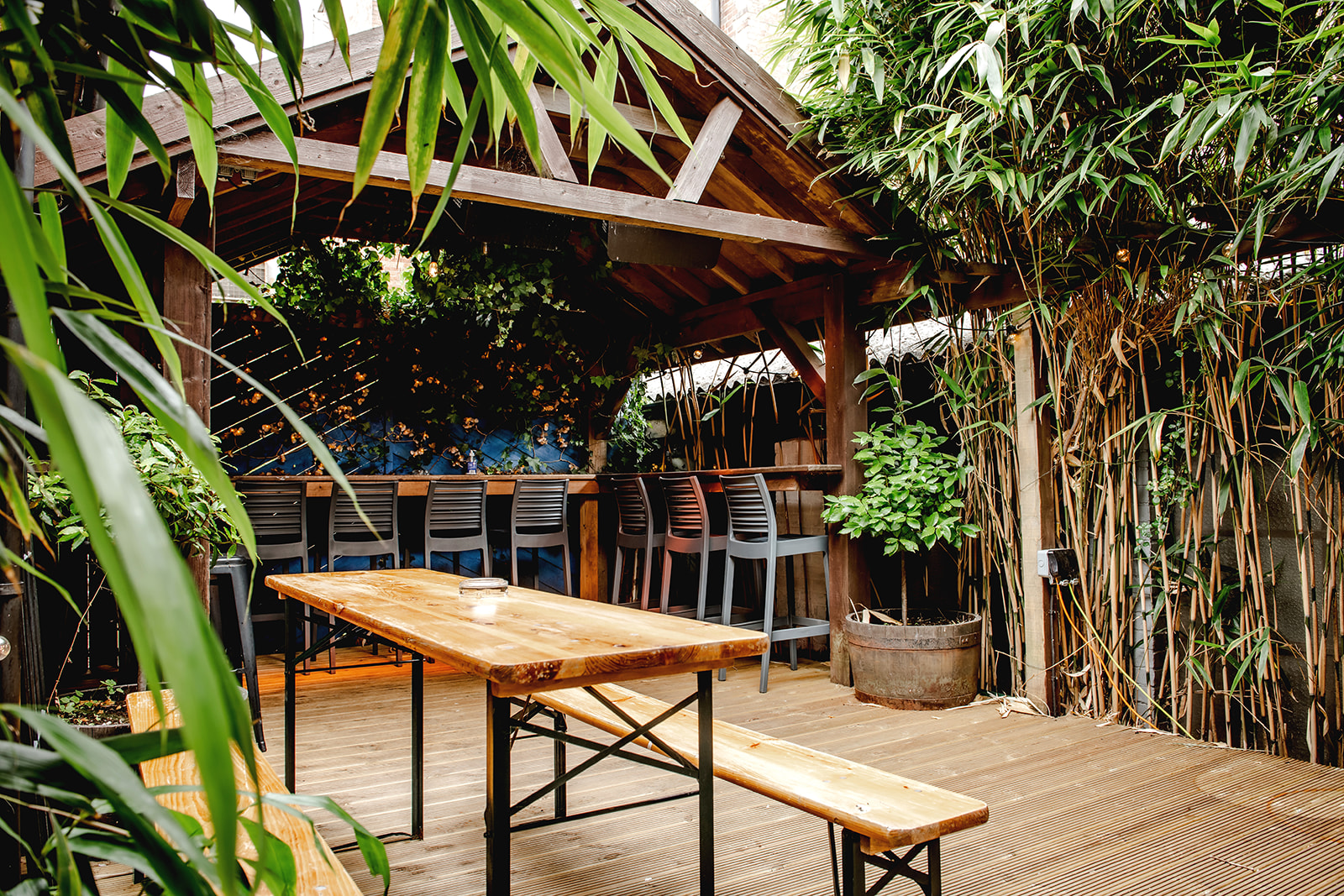 The George secret pub garden